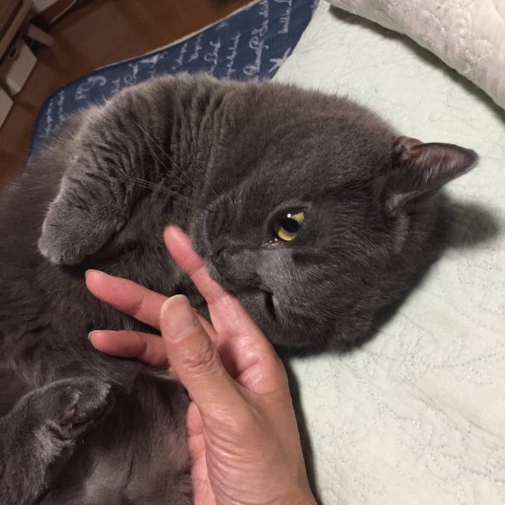 8f39a15a 658a 4fce 8fe6 8435682fbf61