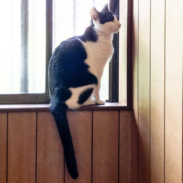 8f39a23b 30f1 47f8 bd6e 31efc196d714