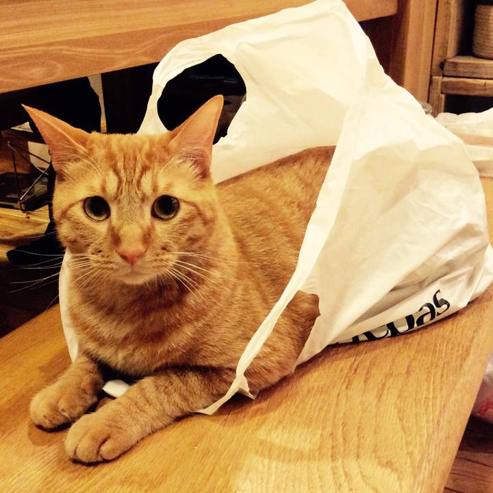 8f39b6c7 eb58 4478 b9a8 4e163dd1ff36