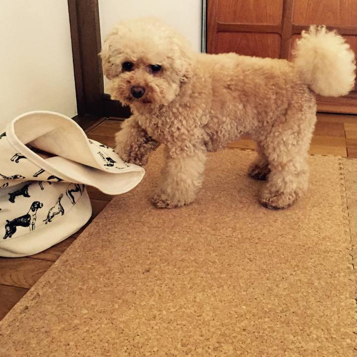 8f3aaf9b 1102 4b10 8f39 27aef97cb8e7