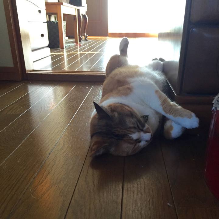 8f3ad39d 0845 4c35 884f a493be12df67