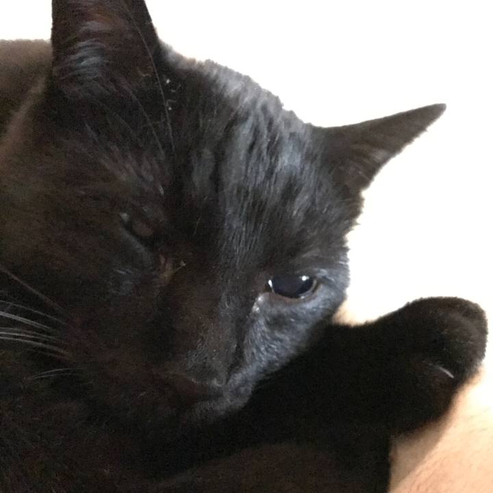 8f3bdd5f 963a 421a 9dce 23ba34a2b4c5