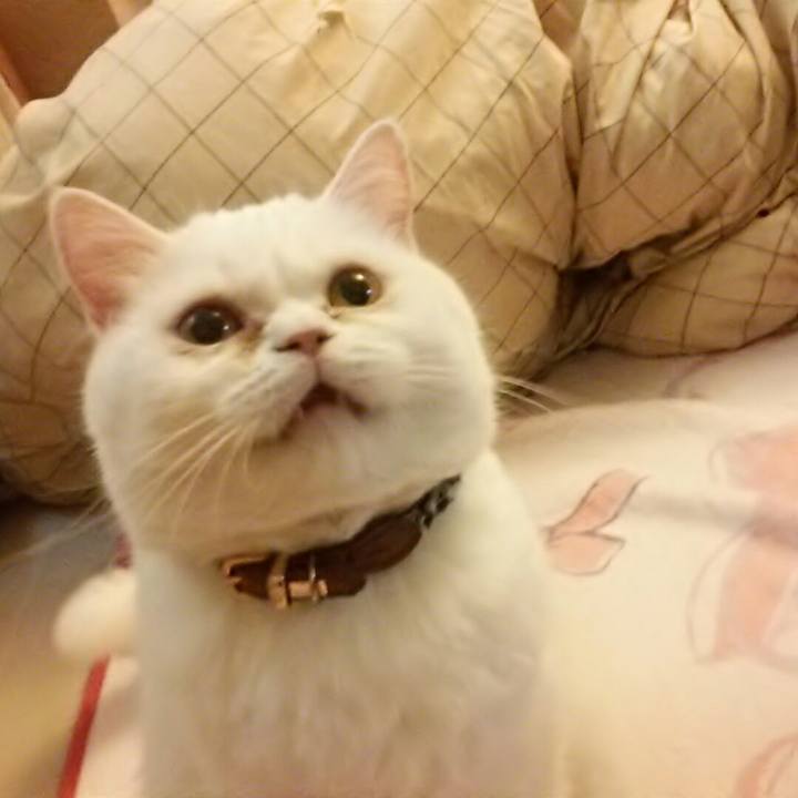 8f3c9bd3 be72 4085 a7ff 6cd24228eb71