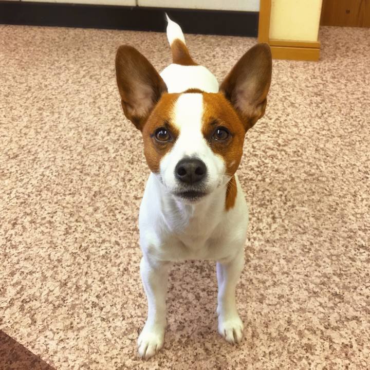 8f3d4688 bbf8 4976 8284 2088ccb3927f