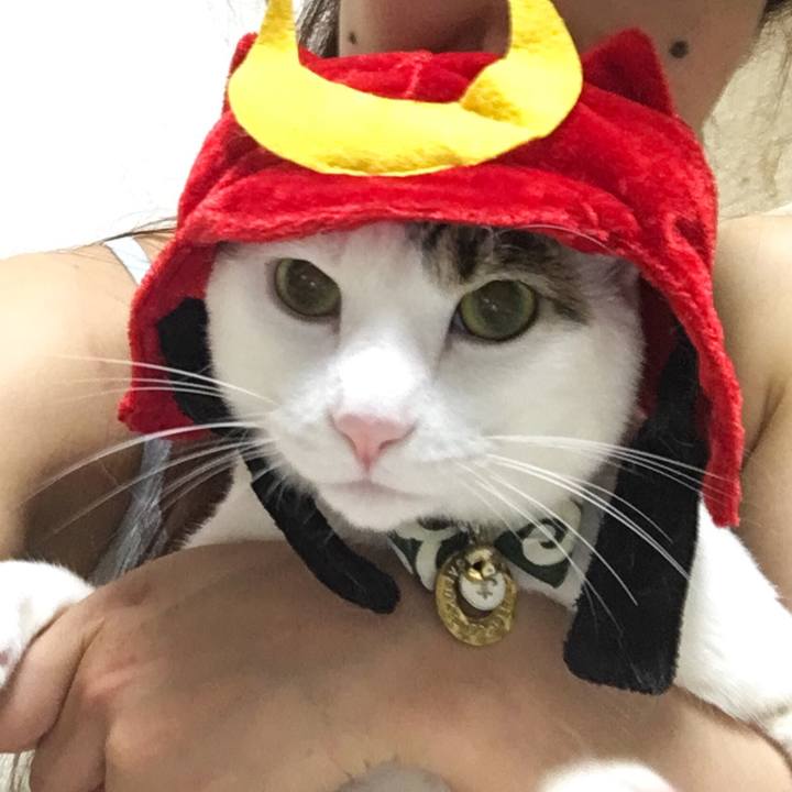 8f3d5acb dca1 4cae b001 ae9bfc81e37d