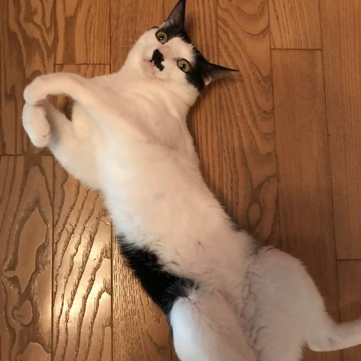 8f3e86d6 d6cb 4689 aeae f557d8183475