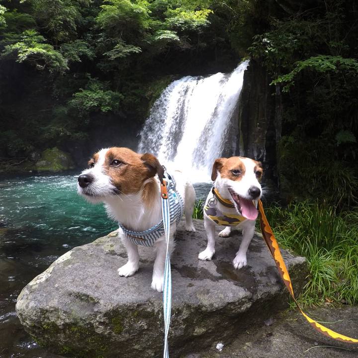 8f3ef7be e6f2 4081 9d1b 9558245e25d4