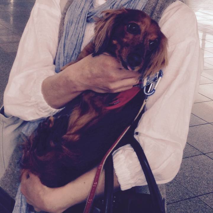 8f3f0775 6bb1 40ec 8586 c5686e0f1668