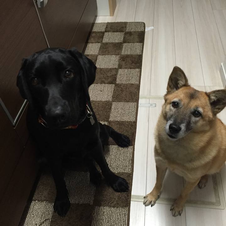 8f3f1798 415d 491e 8919 bcbd2a5fdd4f