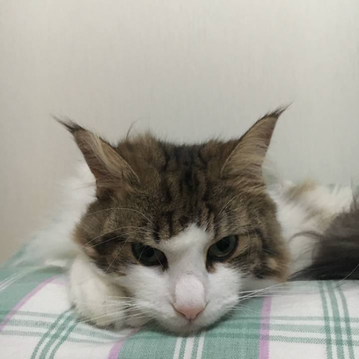 8f3f1aa9 8f92 49d0 8281 c5fbfc92a32c