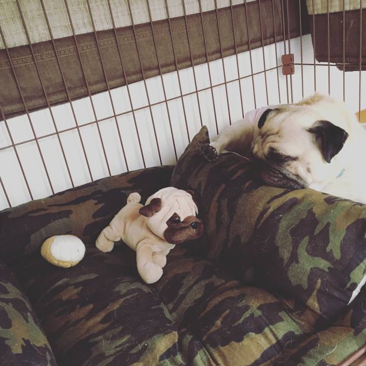 8f3f4cf0 2490 4be8 bb23 514818565bff