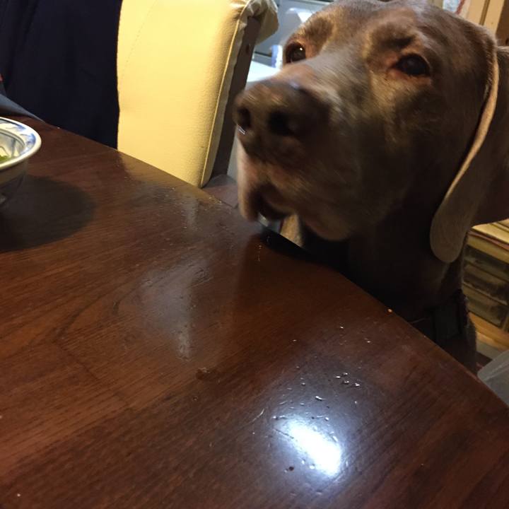 8f3f6dbc acad 4fb8 b09a d7e786370c90