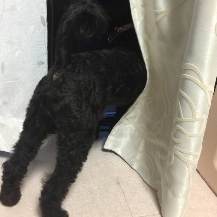 8f3faab6 693f 4c2c bca5 46cde22c2dde