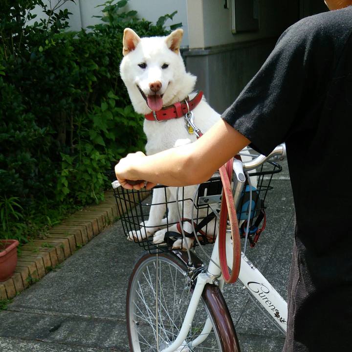 8f3fbaab 5ab2 4f26 b4f0 2679cb0e58c0