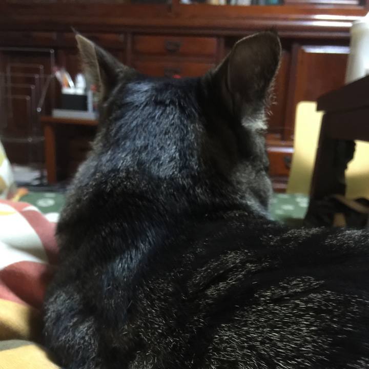 8f3fcceb f6b4 4a2f 8c00 6b2733789fc3