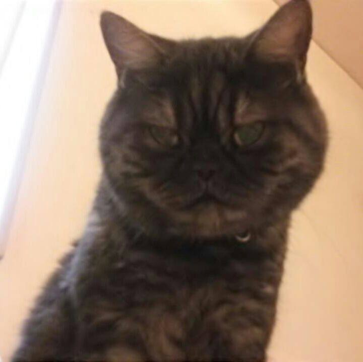 8f3fe6dc f6e4 4229 bd26 2efc58b8004f