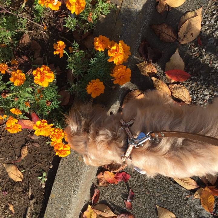 8f408239 58f3 4007 a1d5 5cd5d01ea3f0