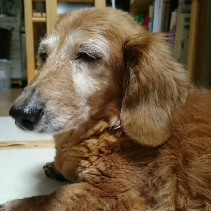 8f410764 0af3 42c7 8d2a 70e67a089238