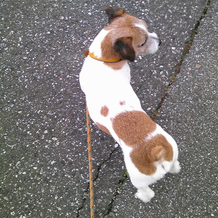 8f41fb77 b9bc 40ab b44e 19ef28d7c454