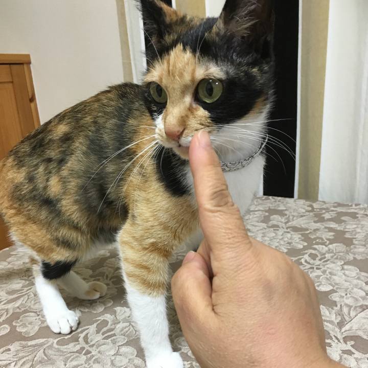 8f42ee68 7edd 4d0d 8160 8df9f603ed30