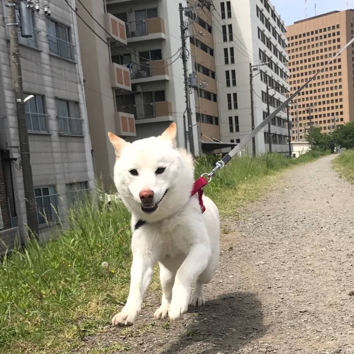 8f42f719 5ab2 4f5e b35c 3ecb6b5011c9