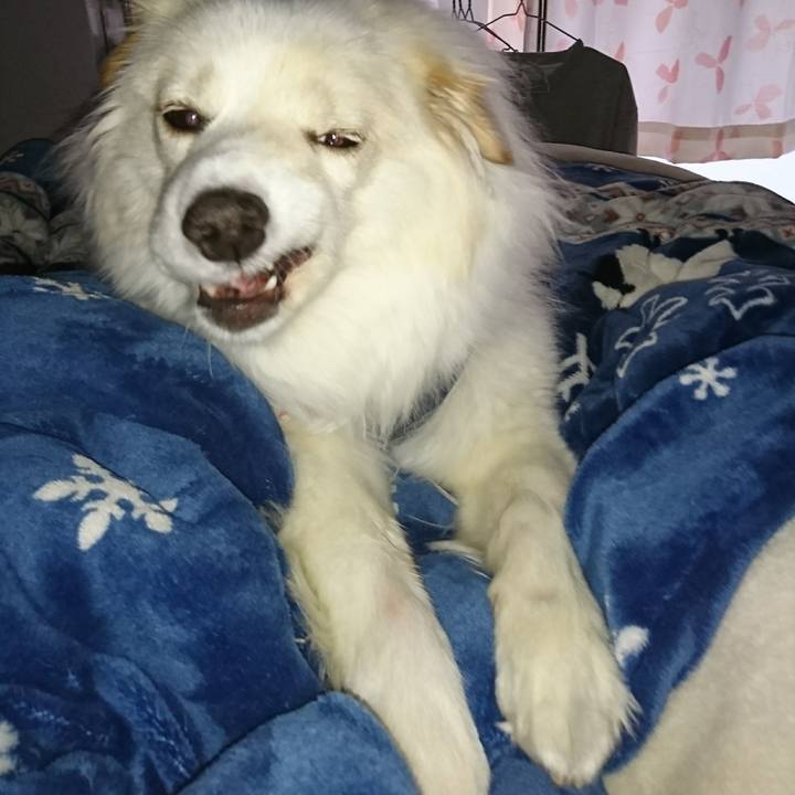 8f42fc9f d990 4263 9104 f8caa6471f3c