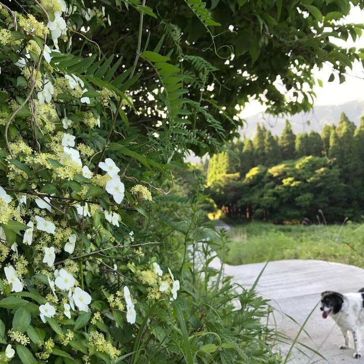 8f43b9d2 36b9 439a 9c6a 923d4e074baa