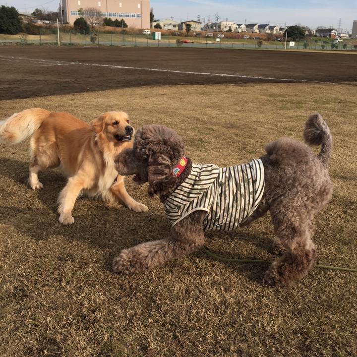 8f43d166 a9a8 47ae 97cf 7678c9a44b6e