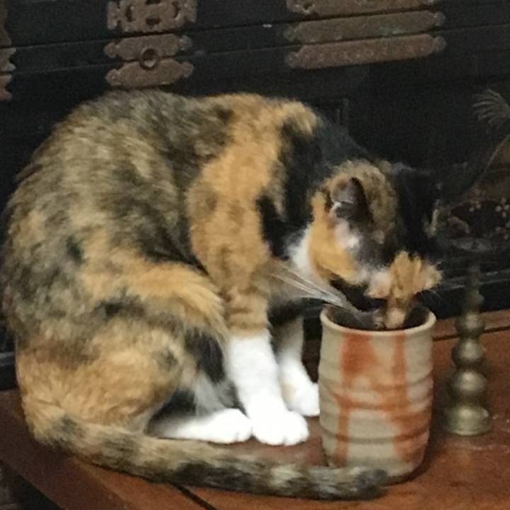 8f43f960 14de 49c2 b822 871b284815dc