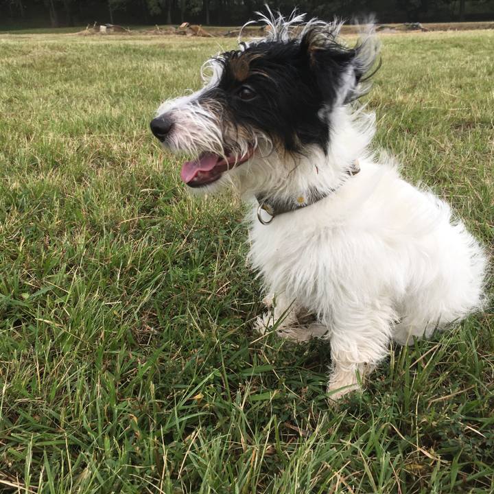 8f4414b2 7c11 4f6a 915e f9c3cdd23db1