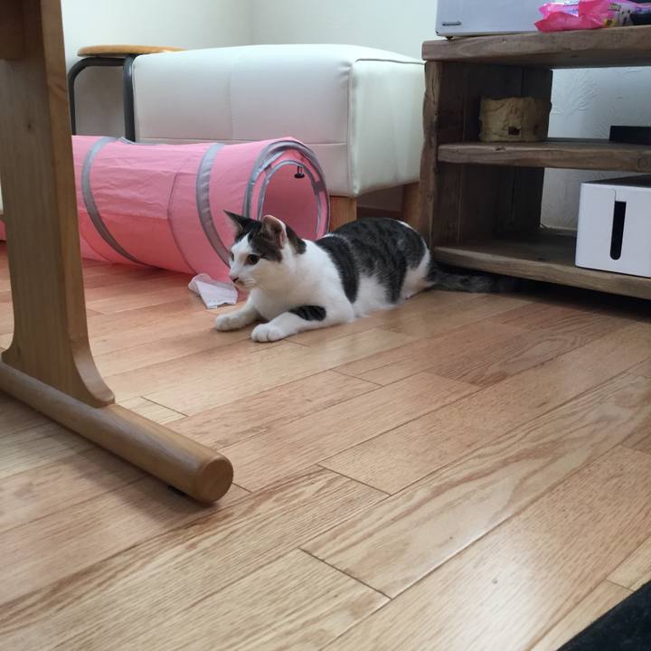 8f443272 60e6 417e b352 f35fe16767c2