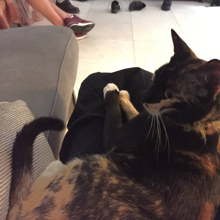 8f44ac0f 8526 4034 8d24 9802fd8fd254