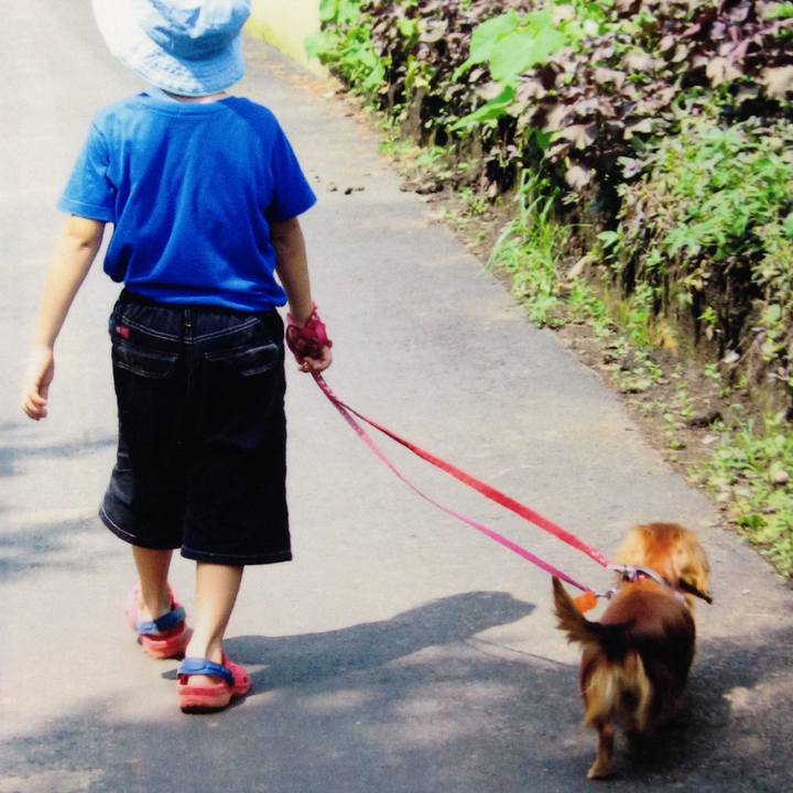 8f45485a 8bc0 4cbf 8e40 094a985b2c82