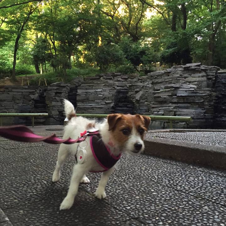 8f455c35 d601 4e33 ace7 630b9b20b1f4