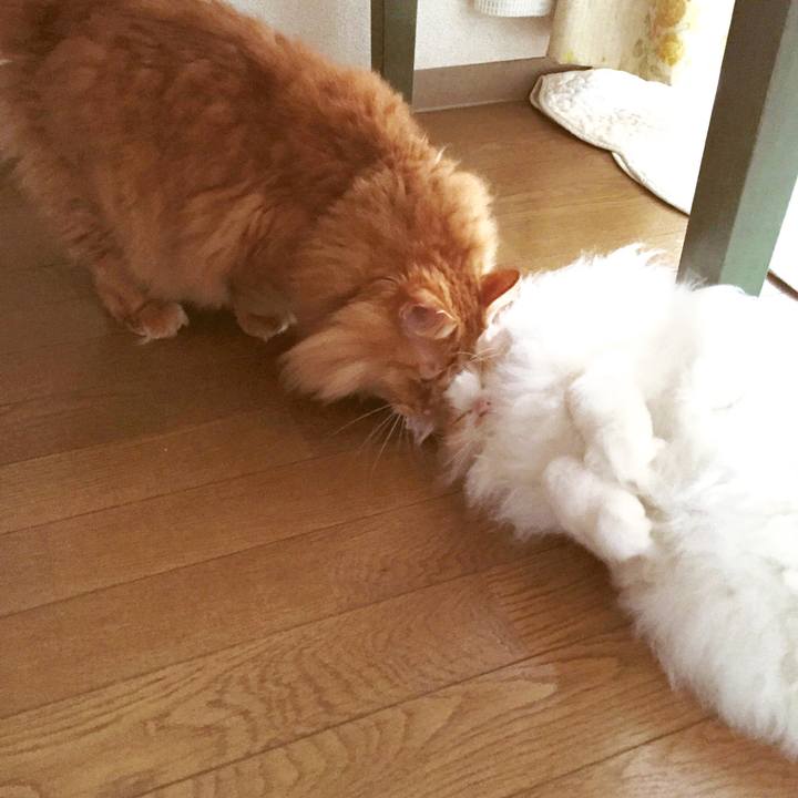 8f457543 5378 43bb b137 9ec9ab1242e3