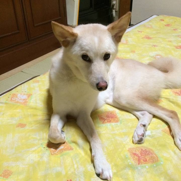 8f460a4a b2f9 456f b60f c2a67c1ea81a