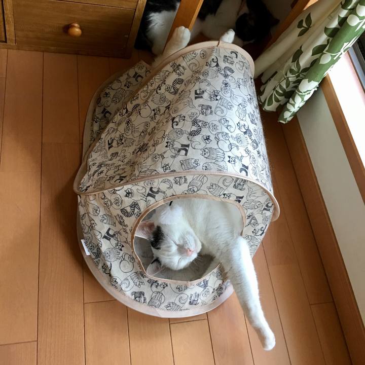 8f4632c6 50e1 45be aaa9 80f292048551