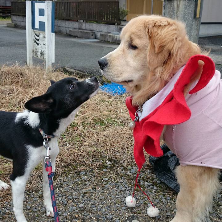 8f469e5e 43ee 4698 ab86 48b5c295a4ce