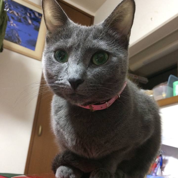 8f46f90f adf6 4b02 96a1 1883fe4948f5