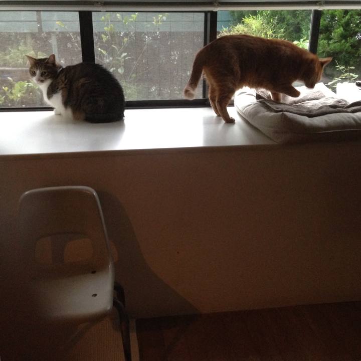 8f48b017 49df 4c6e 93c4 b58da1284522