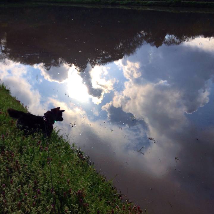 8f48e000 3921 4930 8712 a949e4efd712