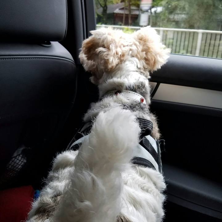 8f495144 54af 486c a9ac 8798d8c9ae04