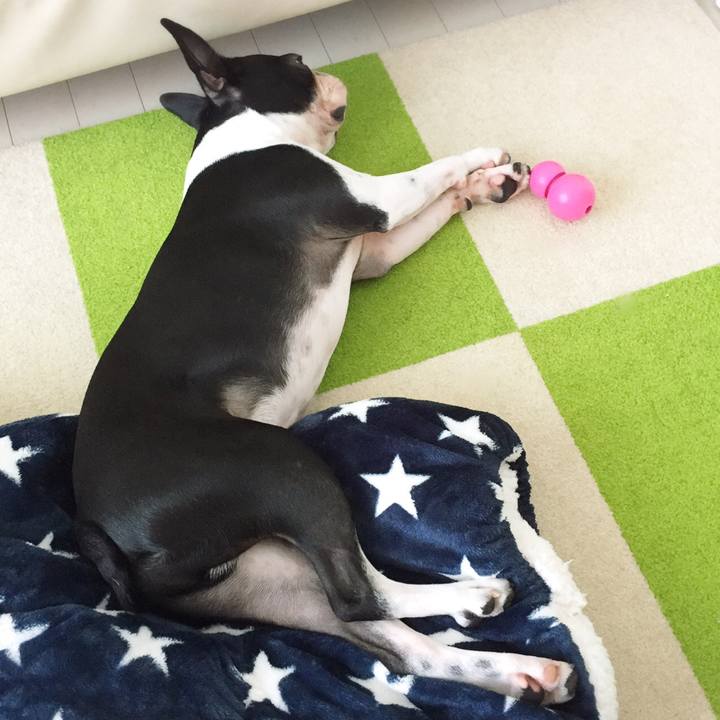 8f49999b 0ea8 49b5 af5a 0319b6057889