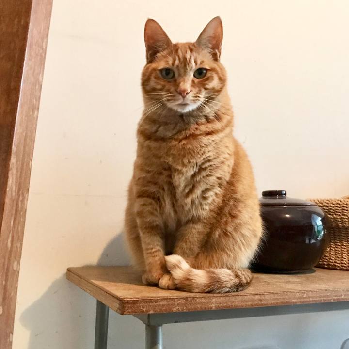 8f4ad6c3 6f44 4617 ab4f 5a75627ca5d7