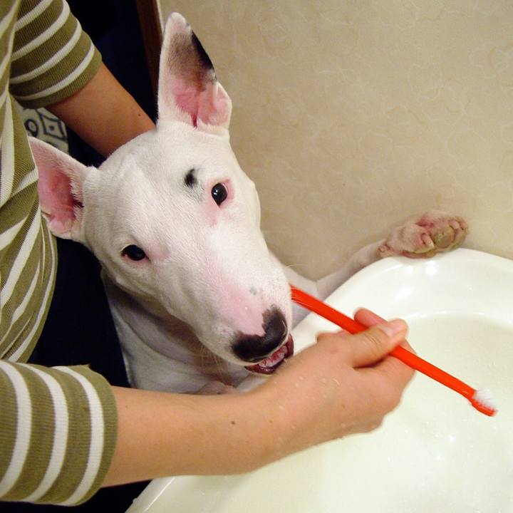 8f4b6572 6b5e 468e bfdd 590d25ea8649