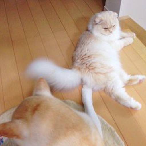 8f4b9f5c b262 47d1 bc48 488e02dec7a9