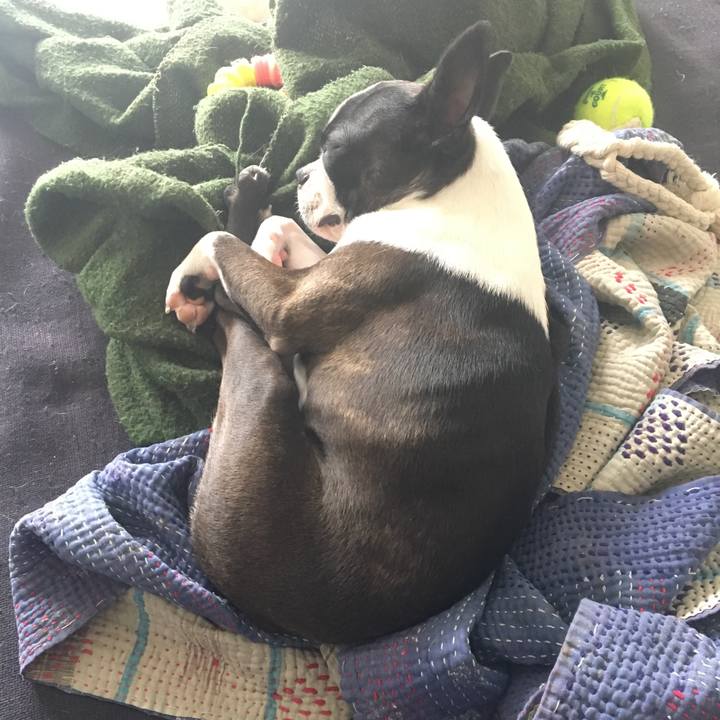 8f4bb570 9fd7 4989 99f8 a3d32d1d26c7