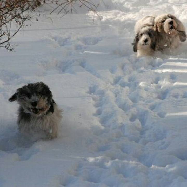 8f4c1af3 b477 46e4 8193 95cab456e16c