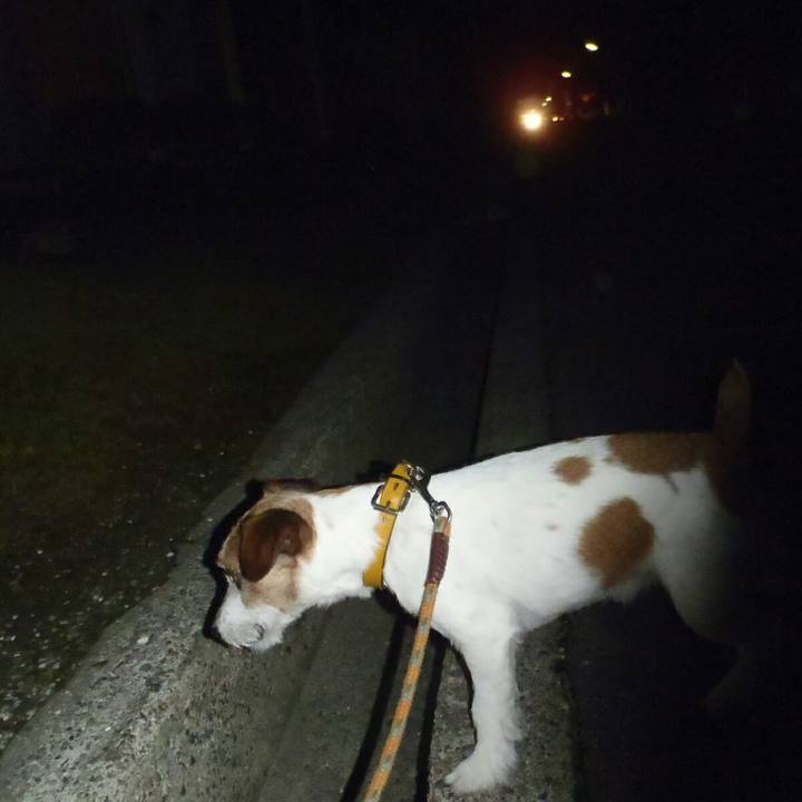 8f4cea18 b11a 4478 b26f 0516d2a3926c