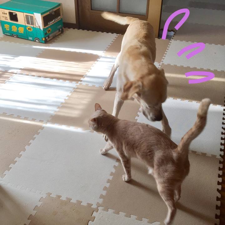 8f4d0c71 0f5e 4178 9691 35d1284a33f0